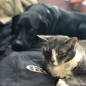 Meet your Posher, Mackenzie